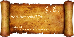 Vad Barnabás névjegykártya