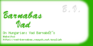 barnabas vad business card